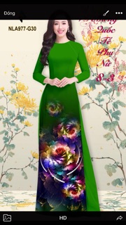 Lụa latinh( lụa pháp )in3d