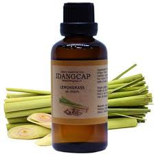 Tinh Dầu SẢ CHANH ẤN ĐỘ 10 ml - India Lemongrass Essential Oil