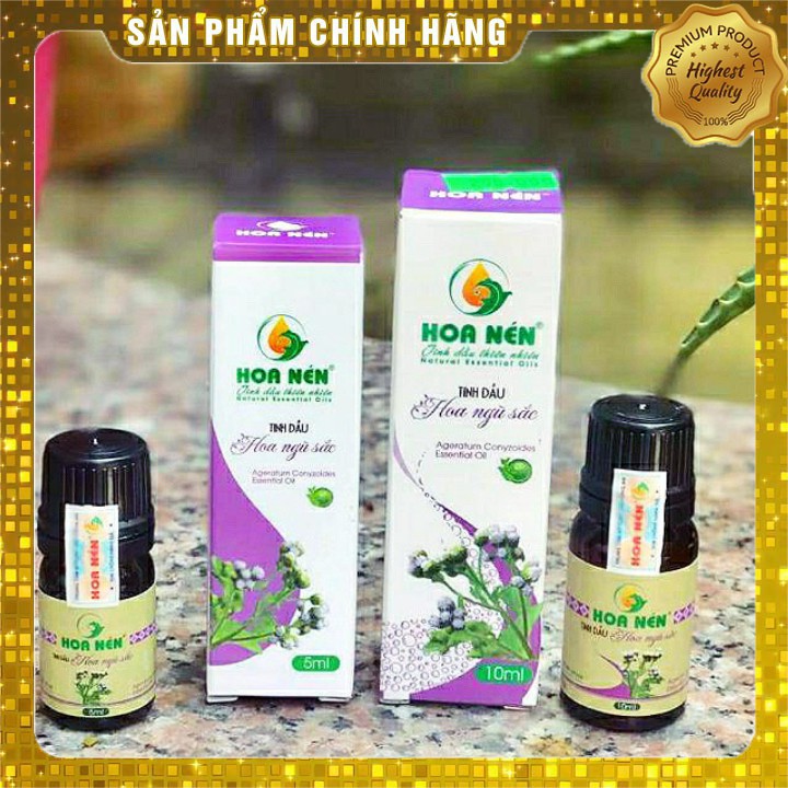 Tinh dầu hoa ngũ sắc Hoa Nén 10ml_Hổ trợ người bị viêm xoang, viêm mũi dị ứng