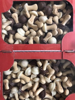 Bánh nấm Nga