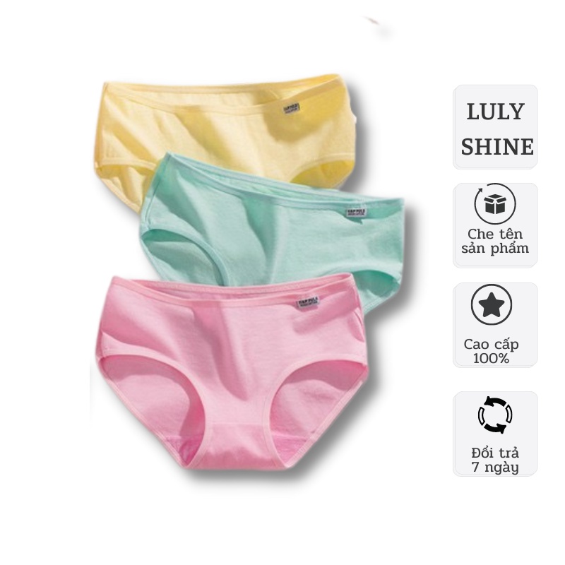 Quần lót nữ Luly Shine, quần lót cotton co giãn mềm mại, quần chip màu trơn đẹp phong cách Nhật Bản Q55