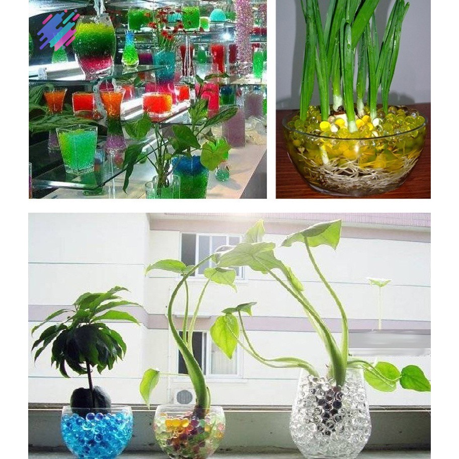 Bộ 300 hạt trồng cây nhiều màu tiện lợi trang trí bình hoa độc đáo