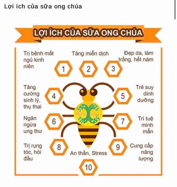 [SỈ 80K] Sữa Ong Chúa Tươi PRO-BEE 100ml (Nguyên chất,an toàn,hiệu quả)