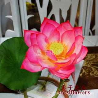 Hoa Sen Giả Xinh Xắn Dùng Trong Trang Trí Nội Thất