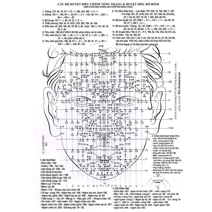 Dụng Cụ Diện chẩn Thanh lăn cầu đồng láng và cầu sừng láng