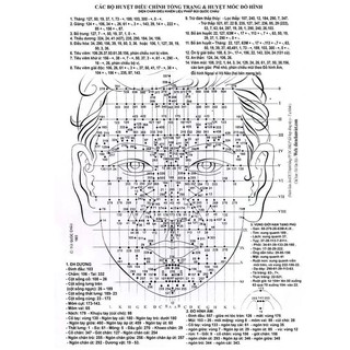 Dụng Cụ Diện Chẩn Búa lớn