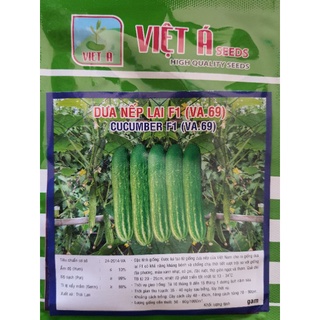 Hạt giống dưa chuột nếp va89/ va79