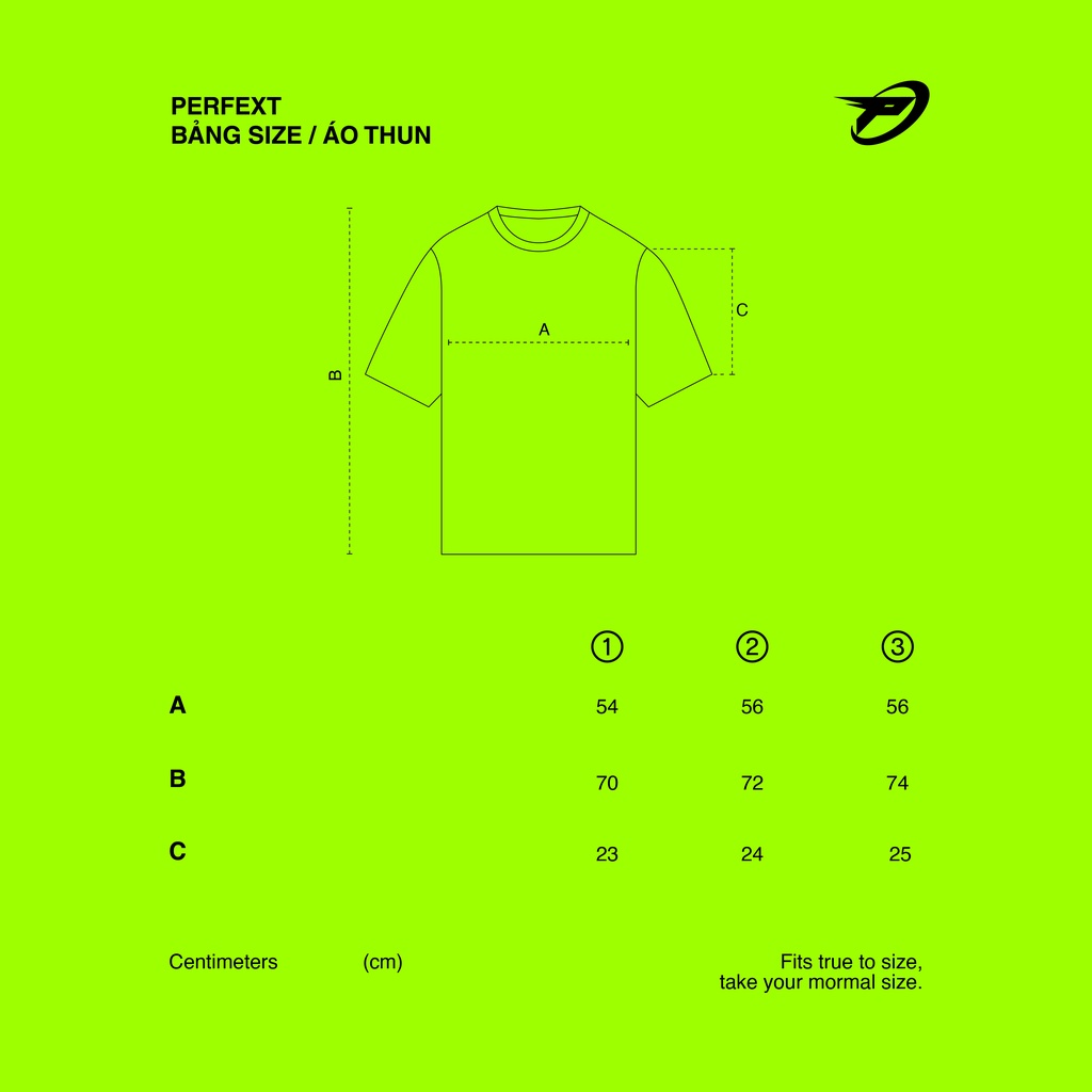 ÁO THUN BASIC SUNDAY *CREAM*