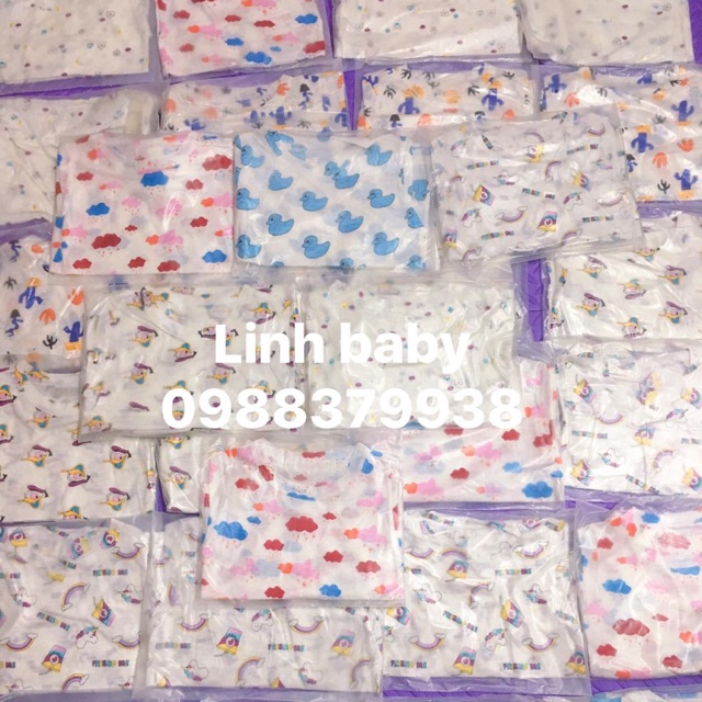 bộ cotton hàng quảng châu