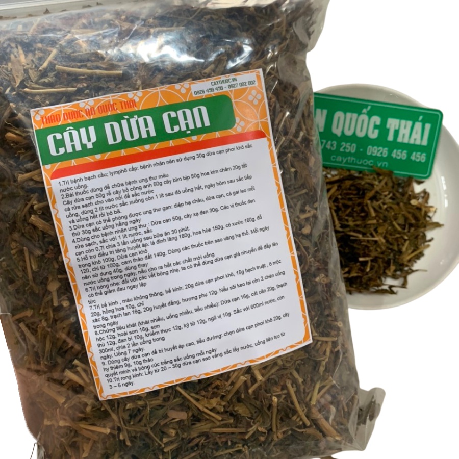 1KG Cây Dừa Cạn Khô, Sạch, Tốt Cho Người Ung Thư