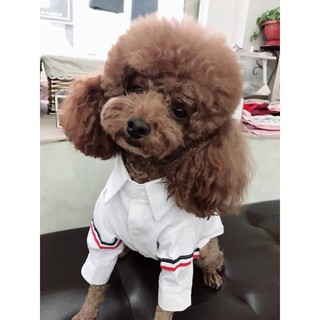 Áo sơ mi Thome Browne (HOT TREND) [QUẦN ÁO THÚ CƯNG]