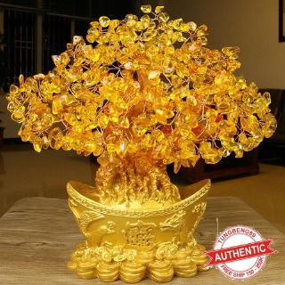 Chậu cây đồng tiền mạ vàng để bàn trang trí