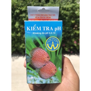 Kiểm tra Ph nước hồ cá