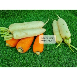 Cà rốt, Củ cải trắng Đà Lạt - 500g,1kg
