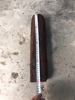 Dớn trụ trồng Lan dài 40cm ngang 10cm