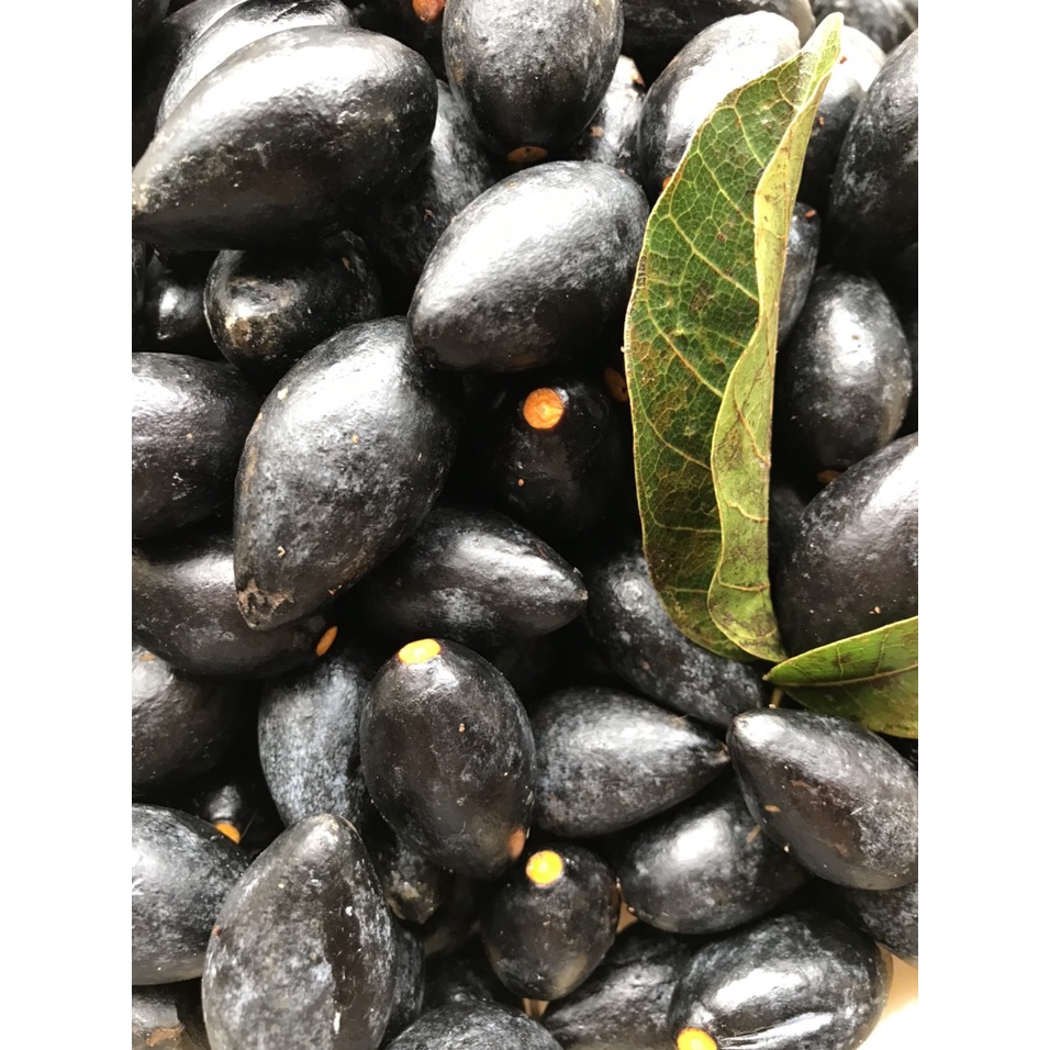 Trám đen đặc sản núi rừng 1000gr/trám om sẵn nguyên hạt hút chân không