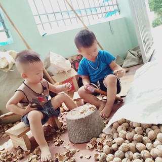 1KG NHÂN ÓC CHÓ MỸ