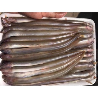 CÁ SỤN SỊN 500G