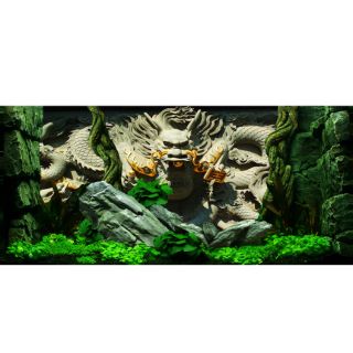 Tranh 3D bể cá (kt 60x40,80x50;90x50;100x50; 120x60;150x60 cm)