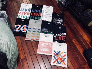 Áo thun Lacoste xuất khẩu cao cấp