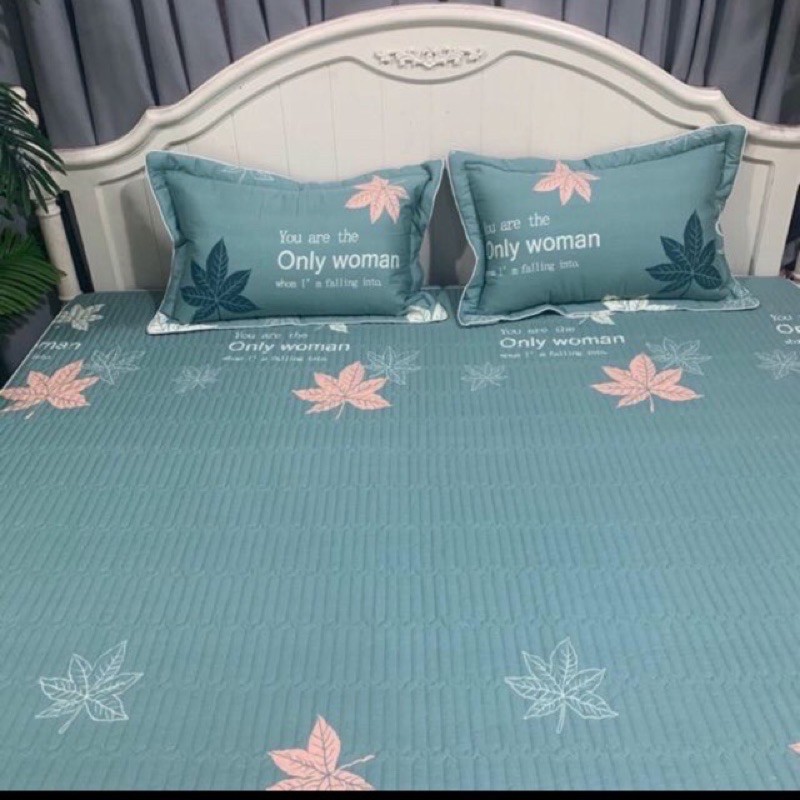 sét ga gối lụa chun Trần bambilo