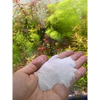 Cát trắng(mịn) trải nền được chiết lẻ (500g) phù hợp cho bể bé