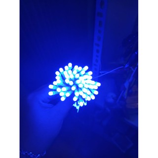 Led 5mm - 5V ( 100bóng/bó)