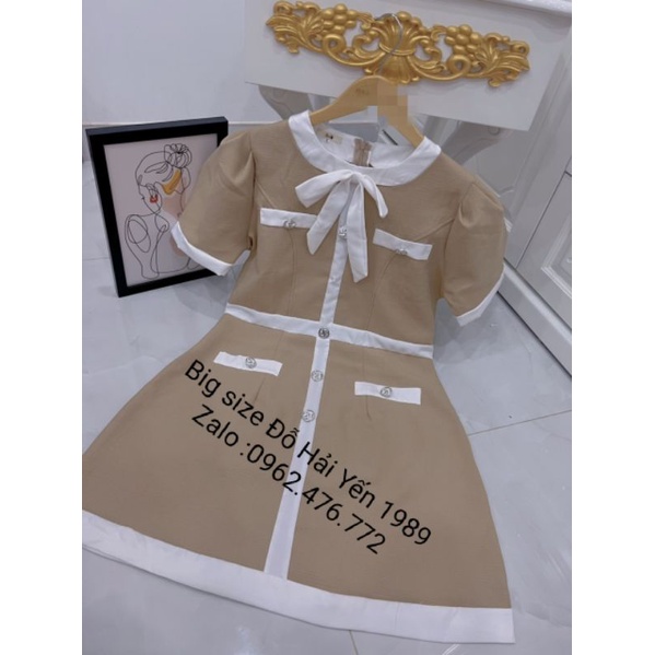Đầm Big Size