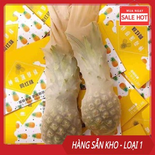 Thanh lý Quần tất nữ/ quần tất mỏng siêu dai loại 1