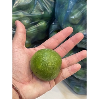 [HCM - Q1] Chanh tươi Đà Lạt 1kg
