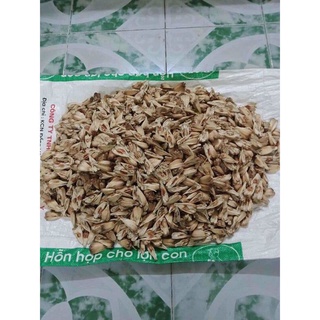 1kg QUẢ DỨA DẠI RỪNG KHÔ