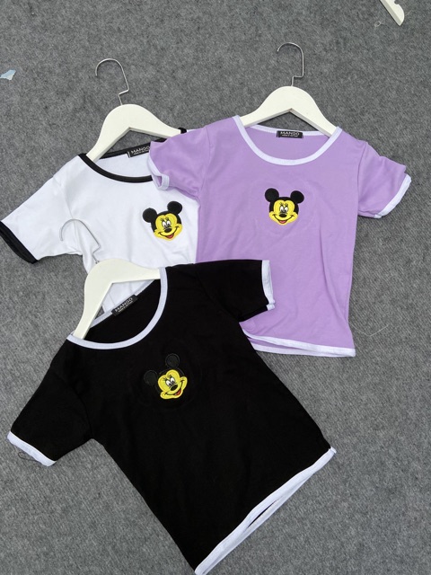 ÁO THUN VIỀN CỔ THÊU