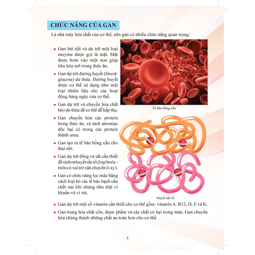 Sách - Cơ Thể Của Tôi Hoạt Động Như Thế Nào: Gan