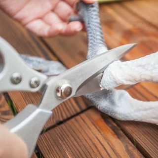 Kéo cắt thịt gà sk5 nhật bản