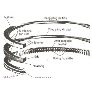 Bạc xéc măng máy Honda GX160