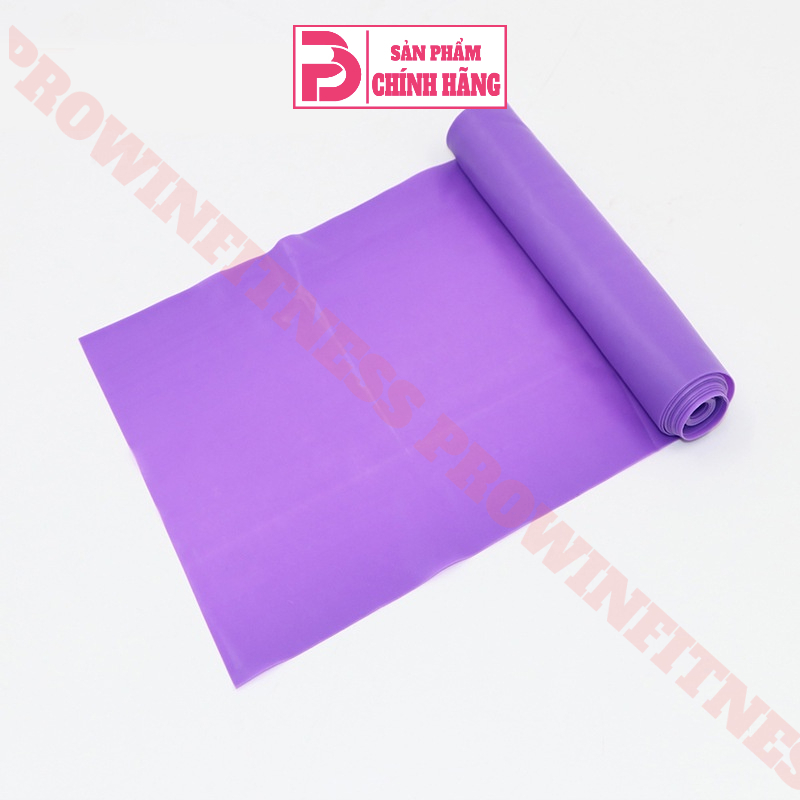 Dây tập cao su đàn hồi tập Yoga Gym cao cấp Prowin Fitness