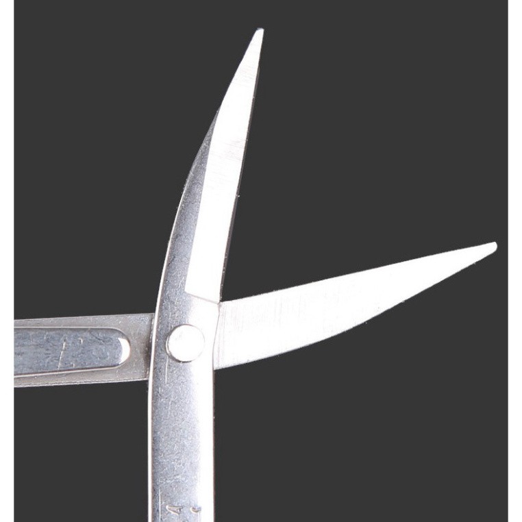 Kéo cắt thẻo Câu Đài – Câu Đơn Chống gỉ gấp gọn, màu sắc ngẫu nhiên.