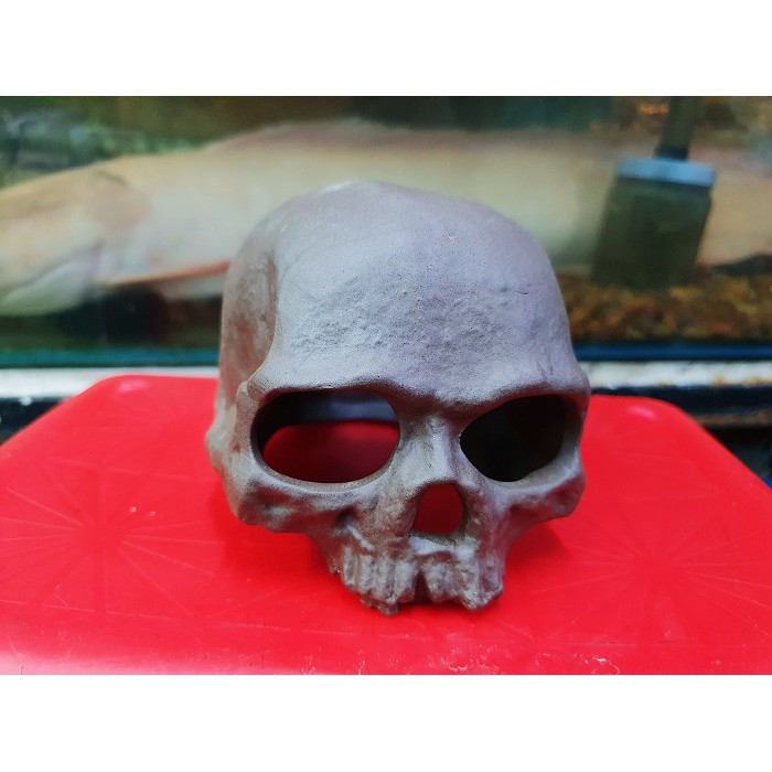 ĐẦU LÂU TRANG TRÍ HỒ CÁ NON BỘ CHO TÔM TÉP CHUI VÀO 10X9X7CM