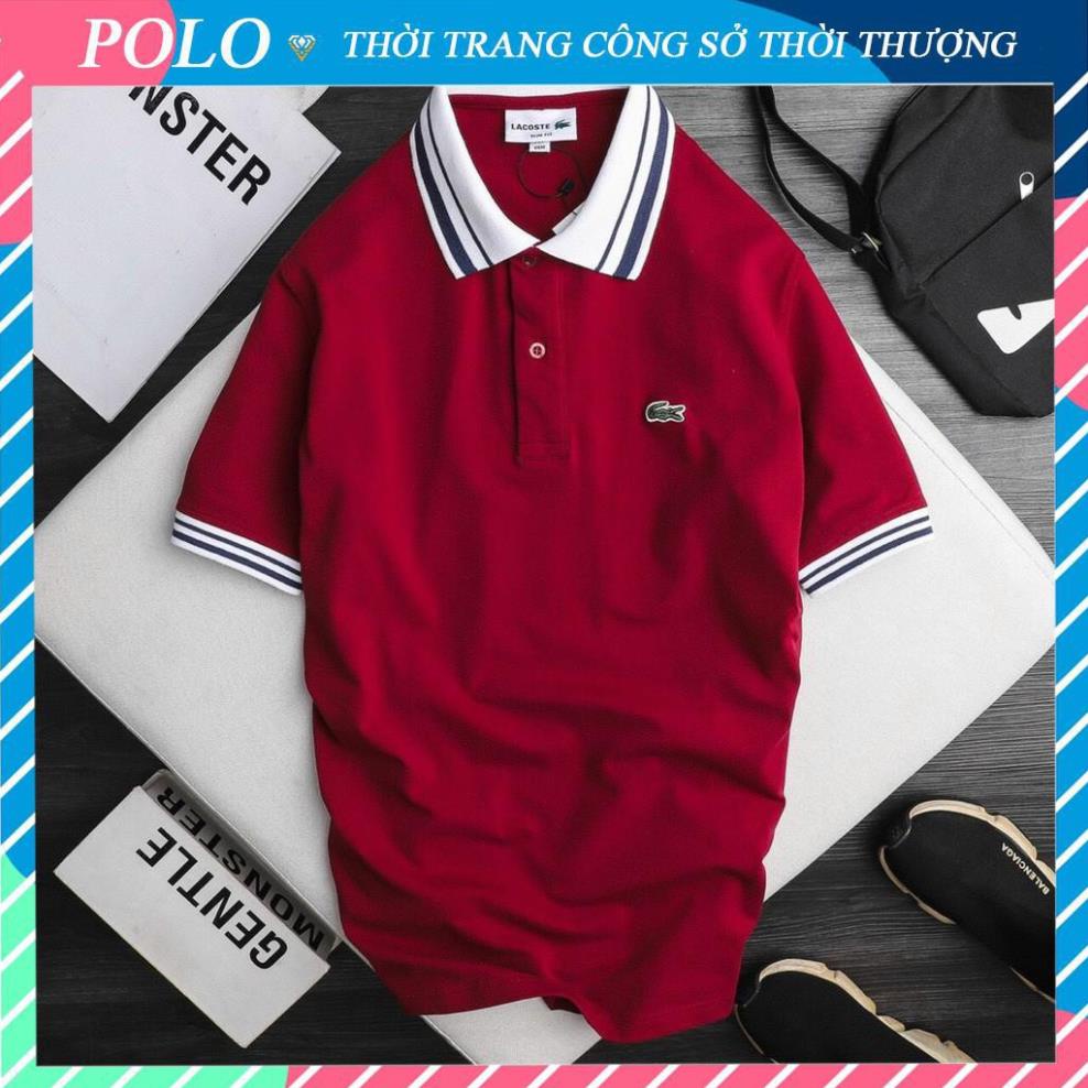 Áo Polo Nam Cổ Bẻ Chất Cá Sấu Hàng Cao Cấp, Áo Nam Có Cổ Hàng Xuất Khẩu 4 Màu Họa Tiết Cổ Áo Và Cánh Tay Sang Trọng !