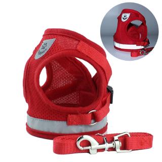 Dây Dắt Chó Phản Quang An Toàn Polyester