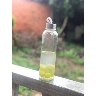 combo nấm kefir sữa 140k