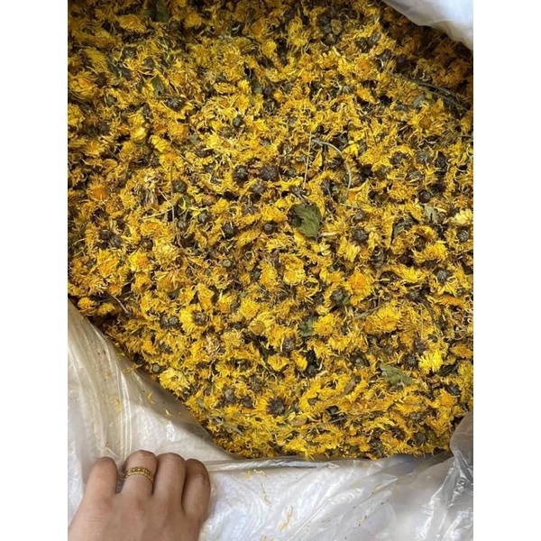 100g Hoa cúc vàng sấy khô nguyên bông