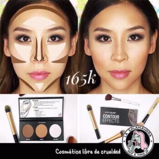Phấn highlight taoh khối