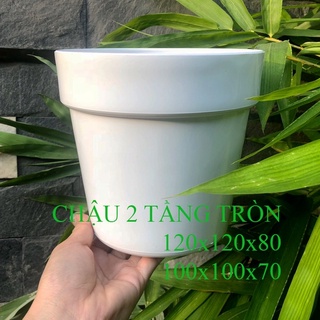 CHẬU NHỰA SEN ĐÁ