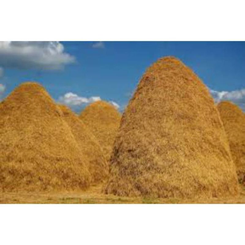 Combo 5kg Rơm khô/rơm trang trí/rơm cho pet