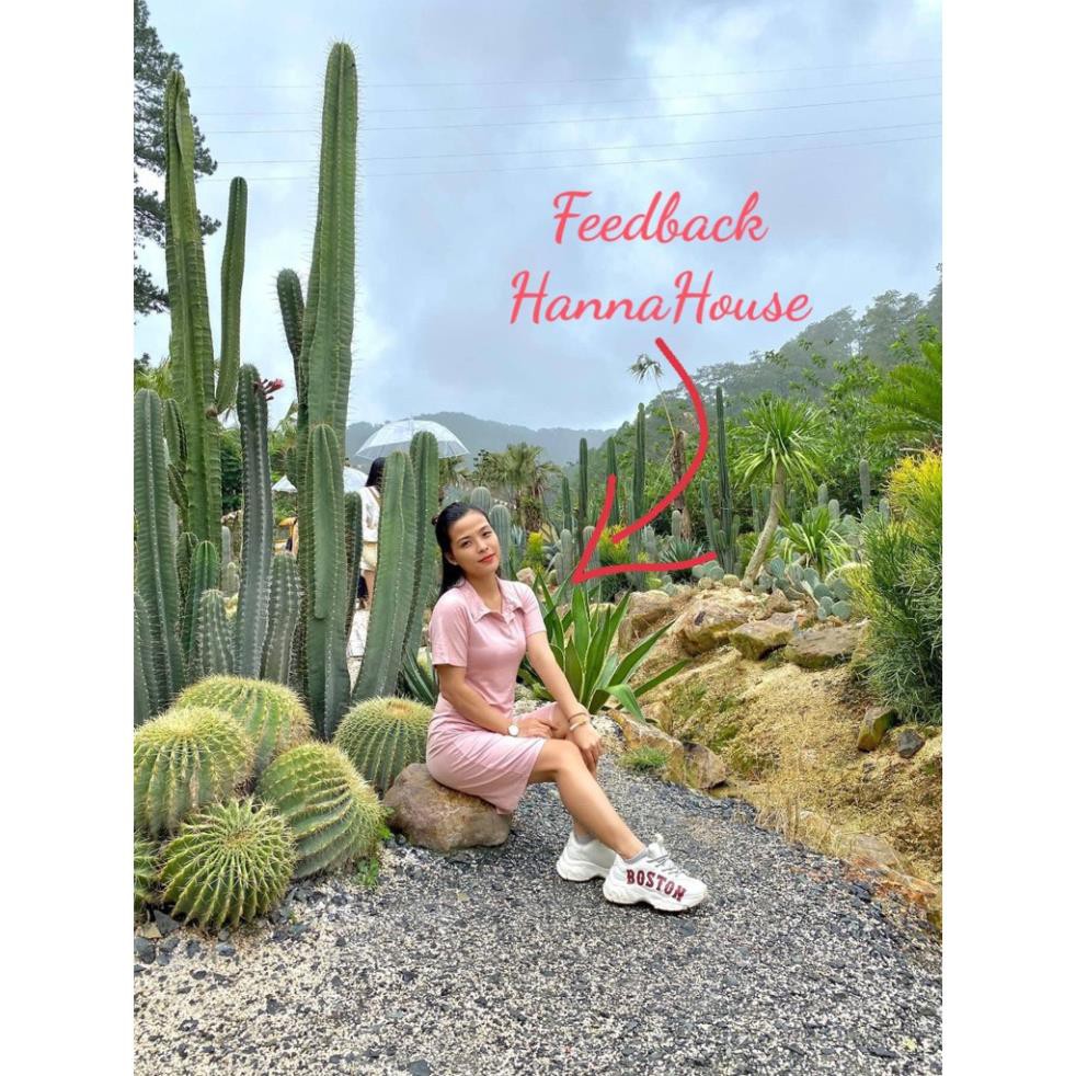 Đầm body cổ sơ mi vải thun cotton gợi cảm | BigBuy360 - bigbuy360.vn