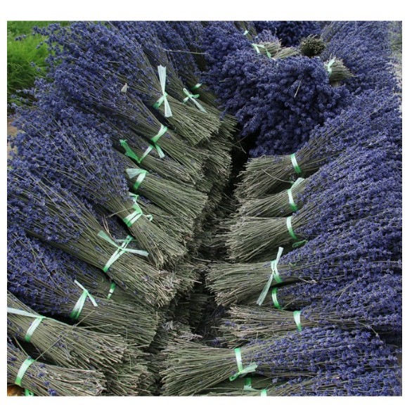 Bó hoa khô hoa lavender 130g (nhập Anh, nhập Pháp)