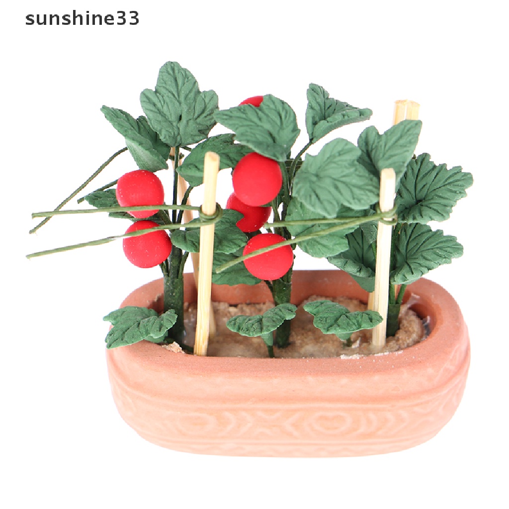 Mô Hình Chậu Cây Cà Chua Mini Tỉ Lệ 1: 12 Trang Trí Nhà Búp Bê