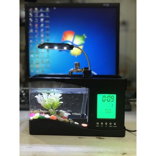 Bể cá mini để bàn cực xinh