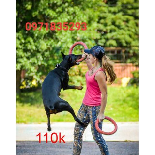 vòng cao su huấn luyện cho chó - đồ chơi cho chó